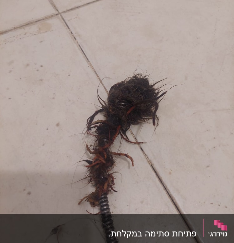 סליל אינסטלציה עם שיער ולכלוך